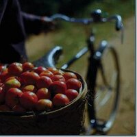 Agriculterra (@agriculterra) 's Twitter Profile