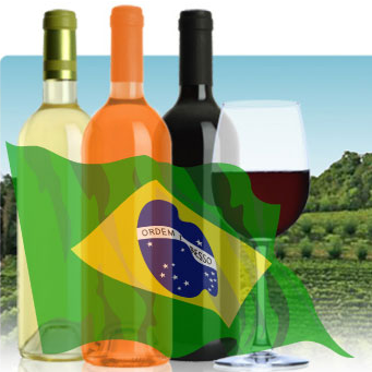 Go Brazil Wines