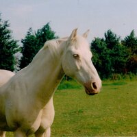 DENISE RADFORD (@radforddenise) 's Twitter Profile