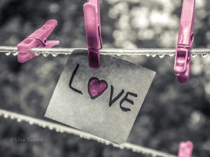 L'amour est un sentiment qui peut vous rendre heureux mais qui peut aussi vous faire souffrir