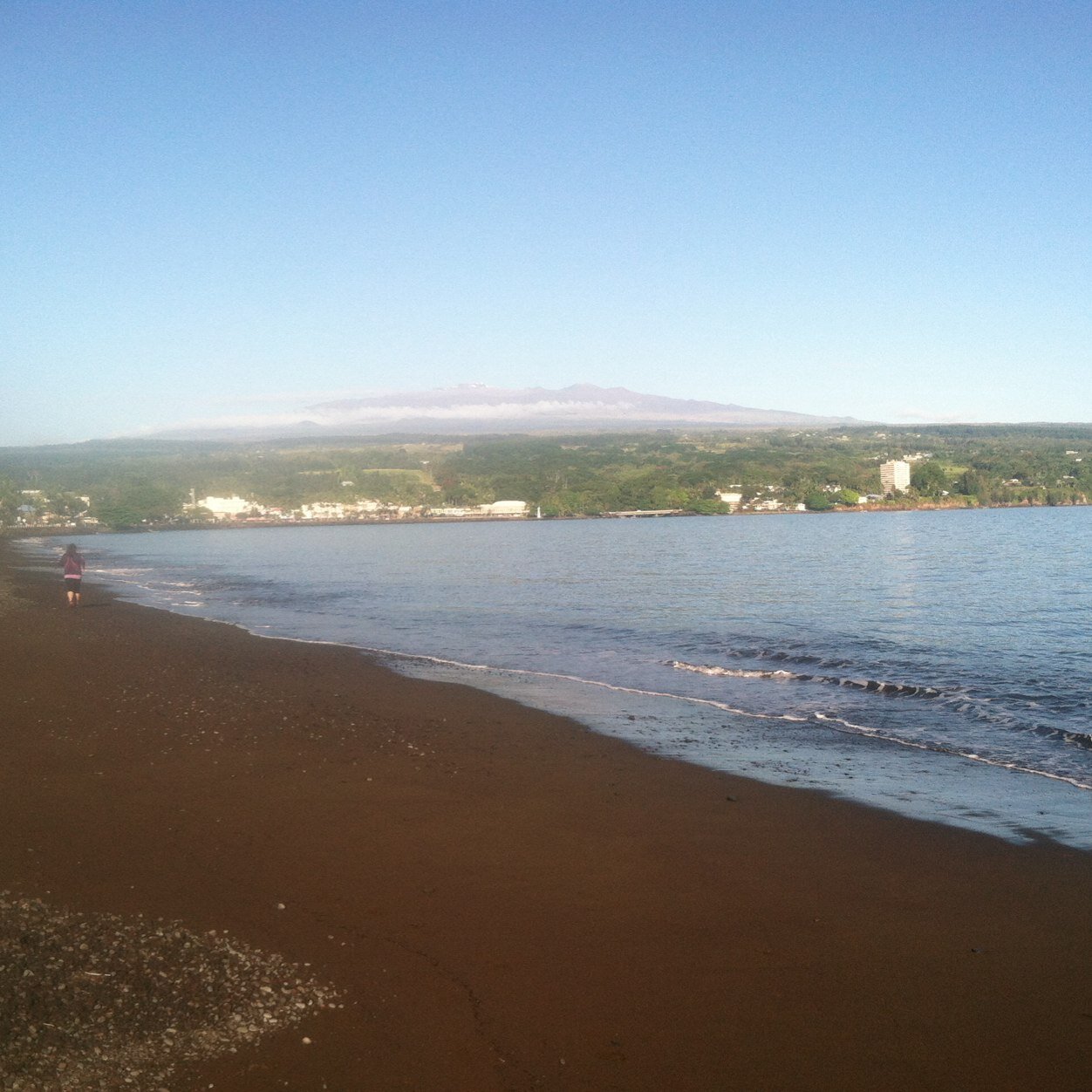 s0anadon's profile picture. 