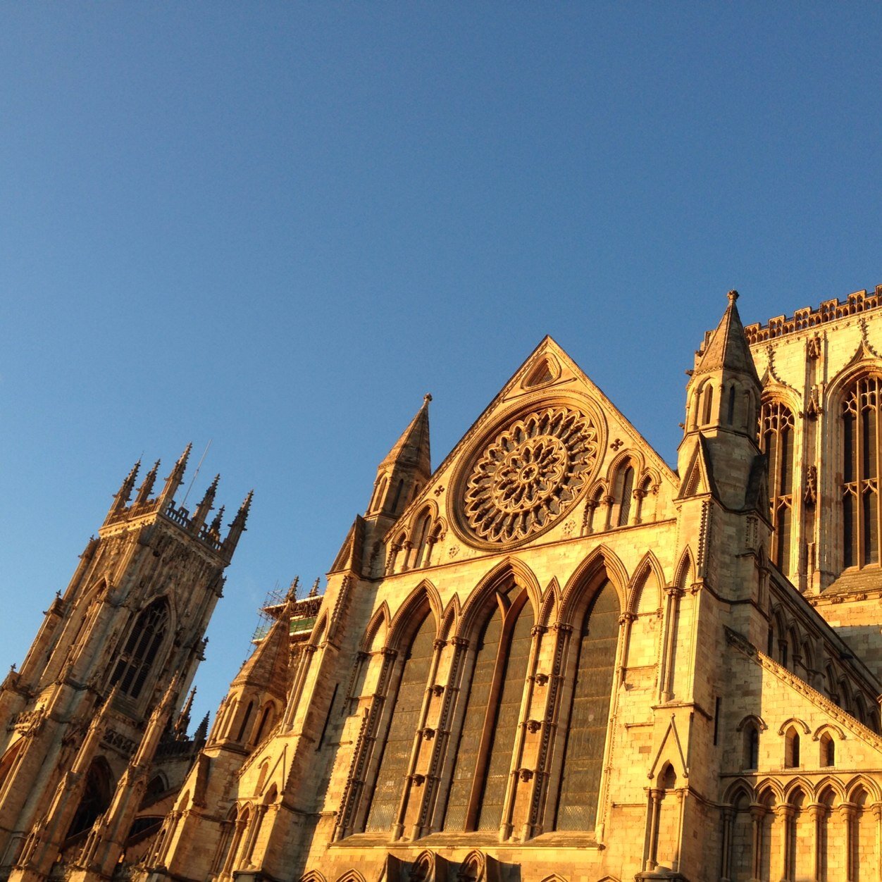 canonleemusic's profile picture. 