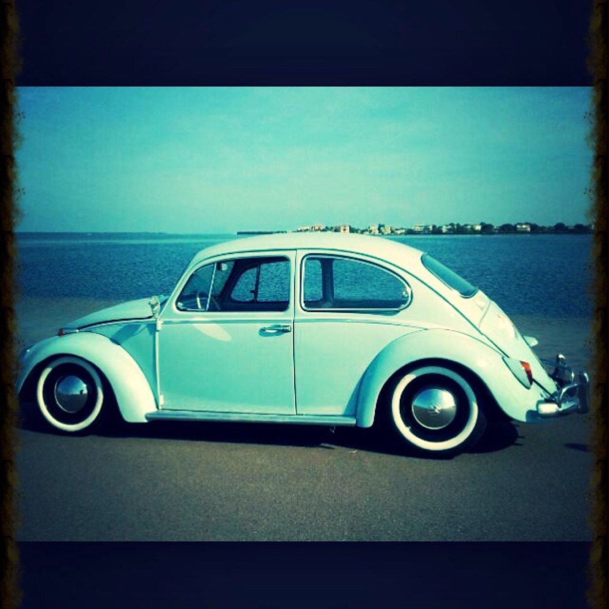 Share your bugs here and information on VW shows !
Show you adds for sale!