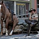 Leslie Buss - @Lellee72 - Twitter