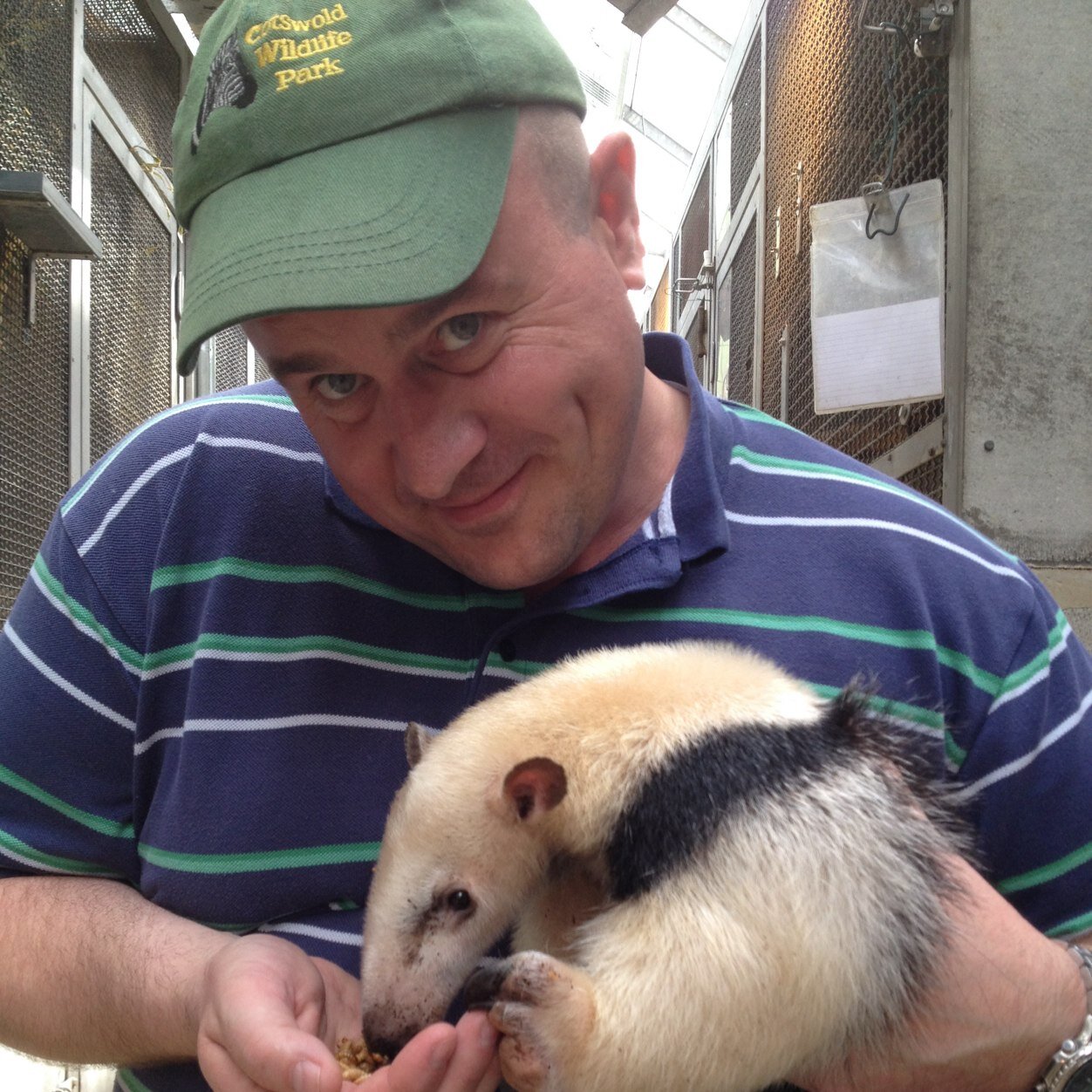 Section Head of primates and small mammals, at the Cotswold Wildlife Park
