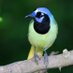 BirdR (@rjacobson333) Twitter profile photo BirdR (@rjacobson333) Twitter profile photo