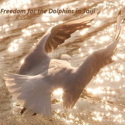 For animal rights, nature conservation, freedom and peace.