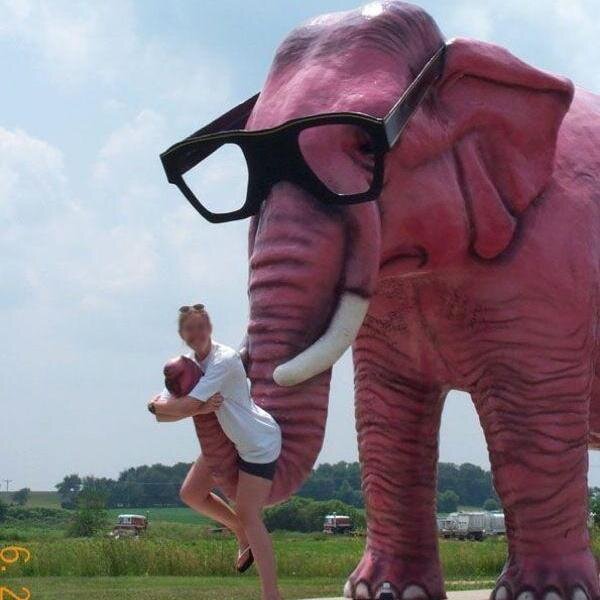 mohamed66666687's profile picture. 