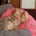 Harriet Mills - @HarrietMills18 - Twitter