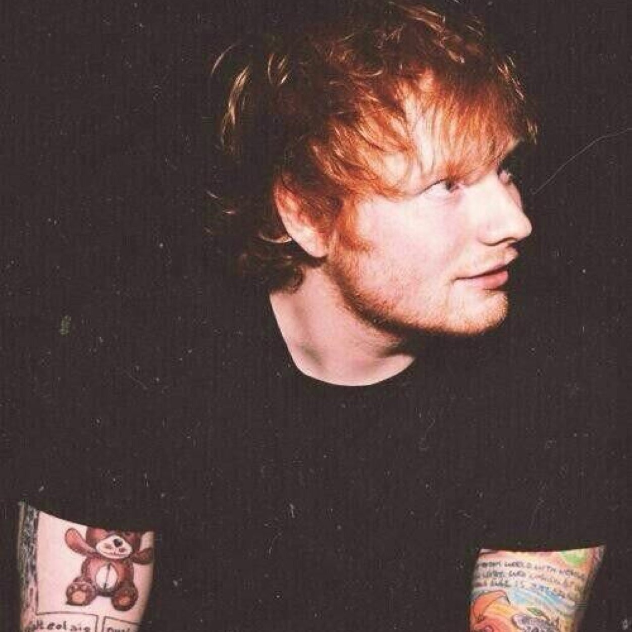 free follow from @edslittlebirdie ▲