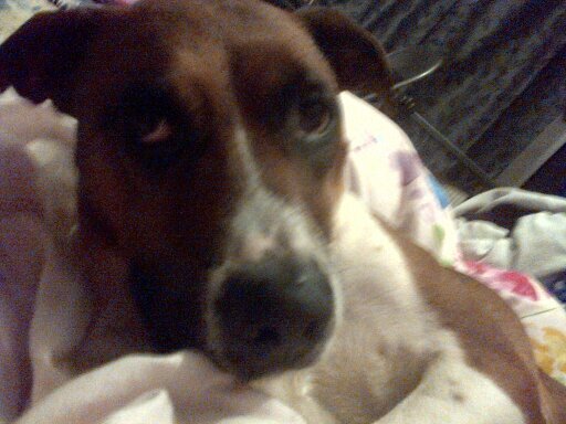 angelx3548's profile picture. 