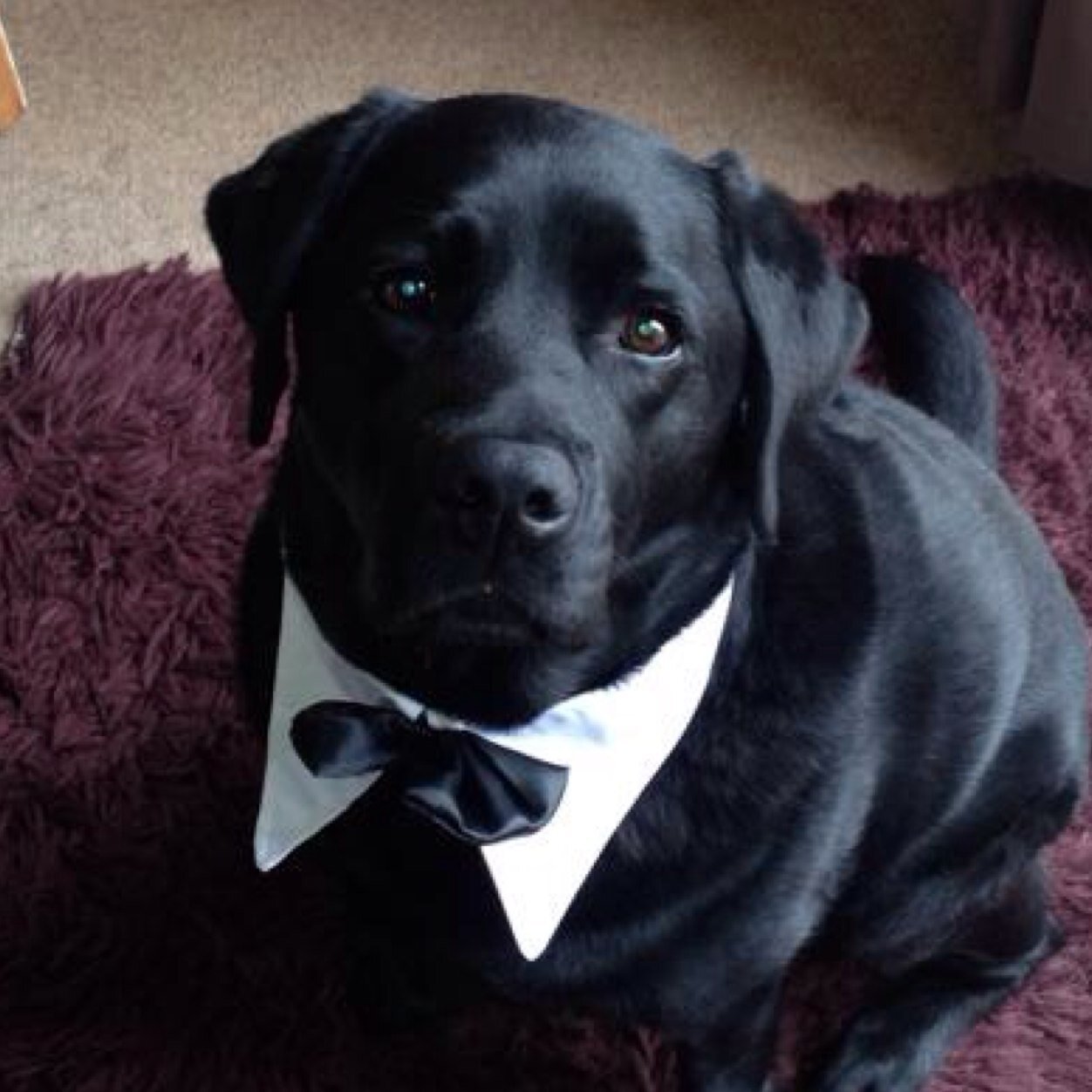 johnrtidswell's profile picture. 