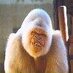 henk a (@ahenk150) Twitter profile photo henk a (@ahenk150) Twitter profile photo