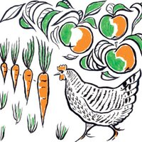 Coleshill Organics (@coleshillorgveg) 's Twitter Profile Photo Coleshill Organics (@coleshillorgveg) 's Twitter Profile Photo