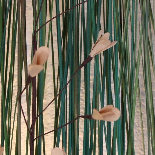 S_Morgenstern's profile picture. Alemanya. Mallorca. Catalunya. Planeta Terra.