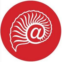 Ammonite (@ammonitemedia) 's Twitter Profile Photo Ammonite (@ammonitemedia) 's Twitter Profile Photo