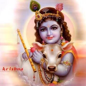 jay dwarkadhis group rajkot gujrat  mo..9998717772   7405556782       jay dwarkadhis all friends