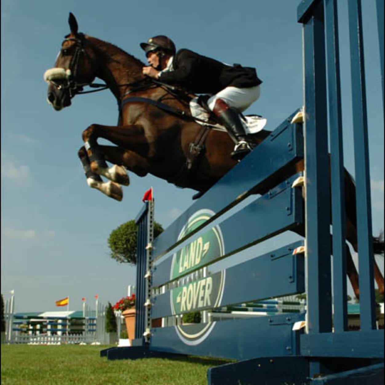 when you own a horse, you own a passion and a bond, nothing else should matter