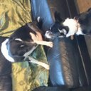 Barry tait  - @barrytait79 - Twitter