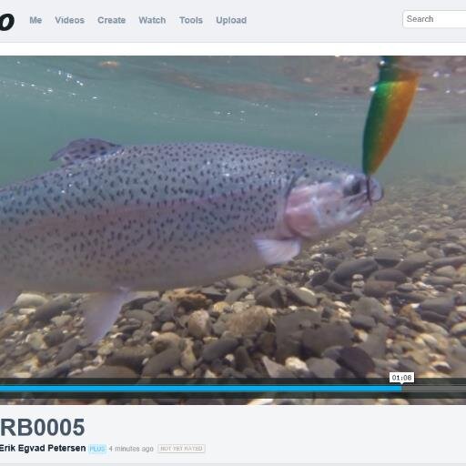 Mjøls Forellensee in Rothenkrug - Dänemark - SØ1 und SØ2 - hier können alle Fische fangen....einfach https://t.co/1o7VfuyMbm -
