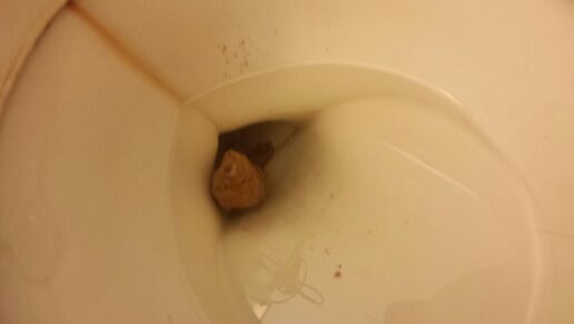 Naming my dookers, one flush at a time.