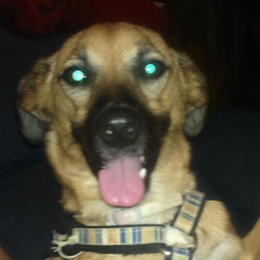 mohores's profile picture. Ingeniera ingeniosa