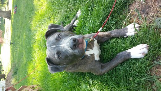 rdhedtiffi's profile picture. 