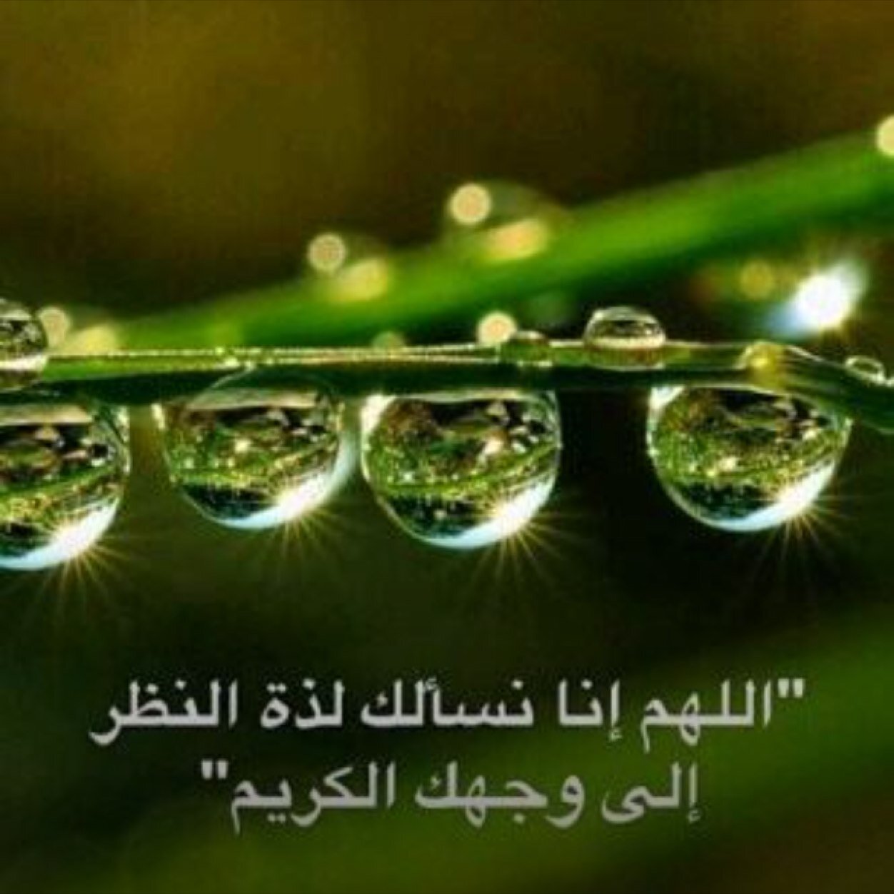 ادعية و اذكار