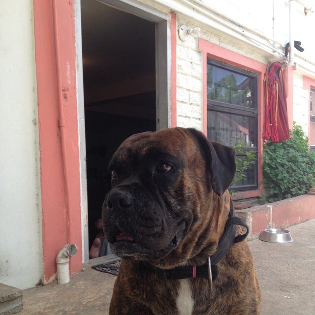 MarieBhimsingh's profile picture. 