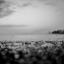 maaszew's profile picture. ‏يا حى يا قيوم برحمتكَ استغيث ، اصلح لى شأنى كُلَه ولا تَكِلنى إلى نفسي طرفة َ عين