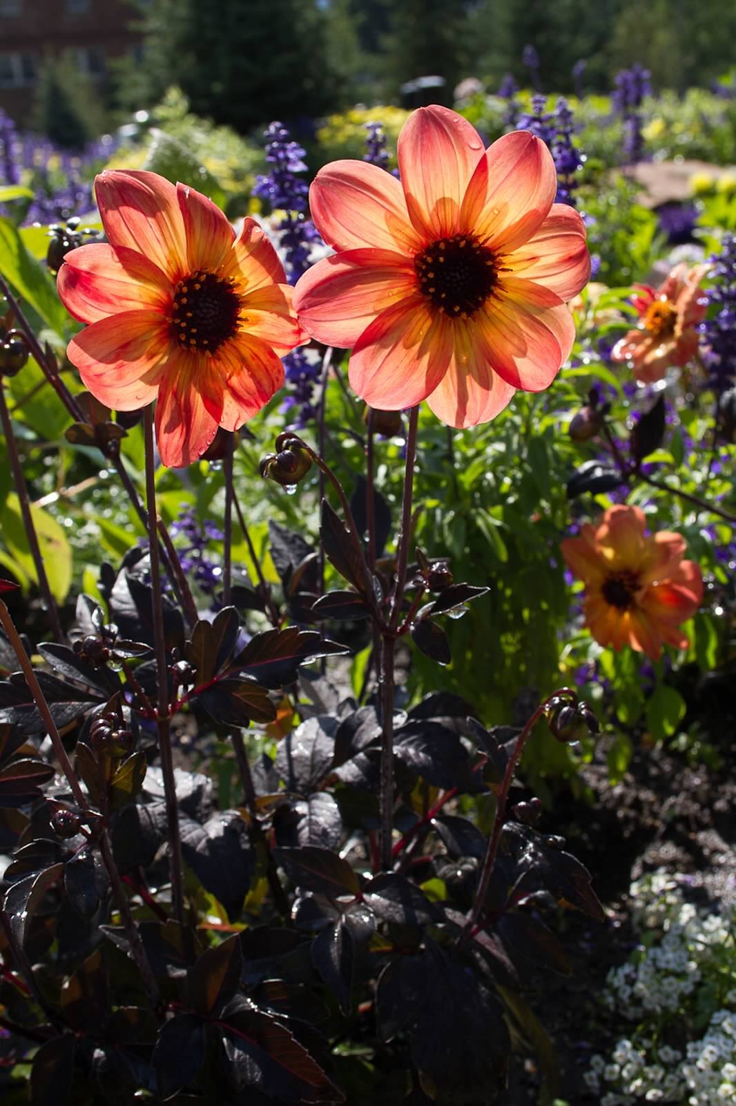 strtgz's profile picture. Adventurous and animated; affinity for radiant beauty, natural wonders, and wondrous nature designs; art/science/math interconnections