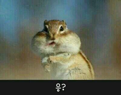 16671667's profile picture. 야옹~과 어흥!!