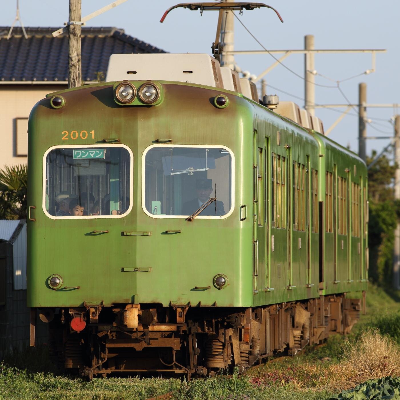 野の鳥が好きでゆるーく撮影しています。カメラ📷（Canon）の他に園芸🌱や鉄道も好きで、アニメも見ます。黒沢ともよファン。よろしくお願いします！