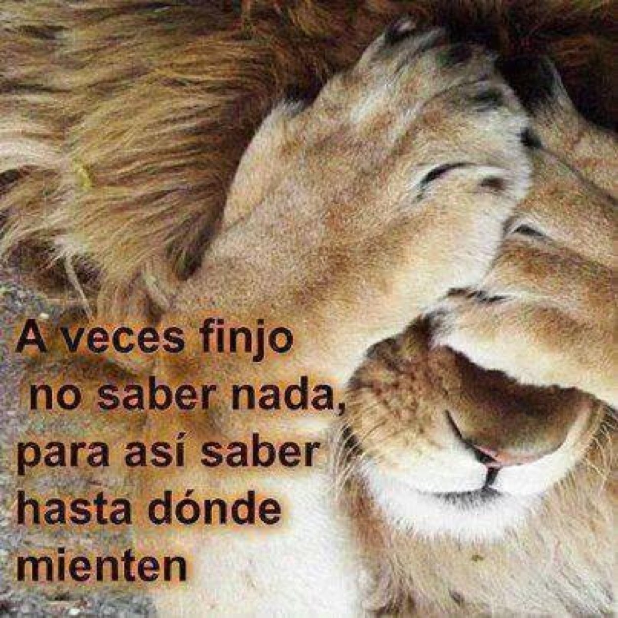 Te miro y digo: vales por lo que tu eres no por lo que yo digo