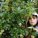 Mitchell Jorgensen - @handlife - Twitter