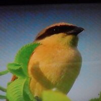 Галина Макарова (@gmakar2) 's Twitter Profile Photo