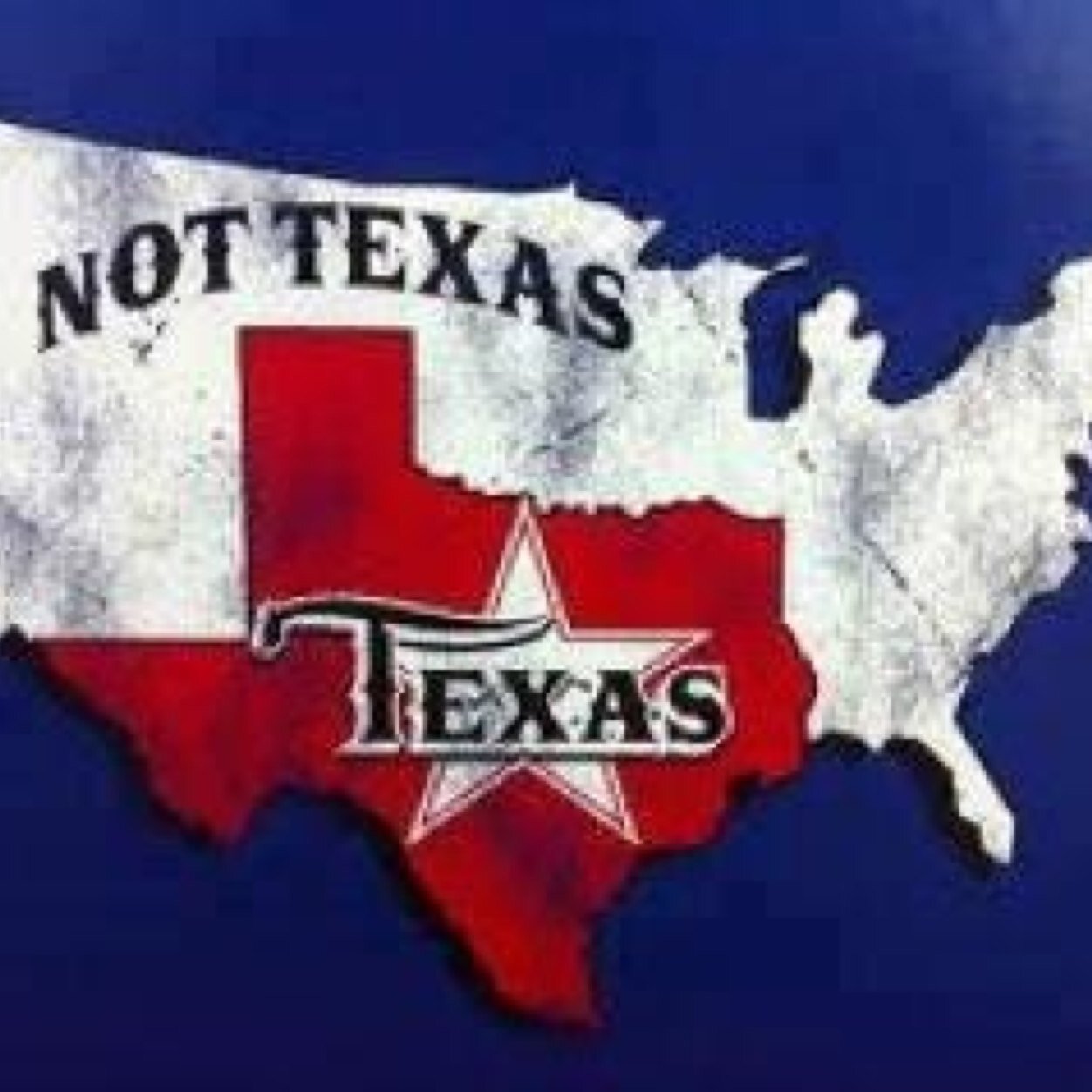 RallyRedTx's profile picture. Fighting to keep Texas Red! Say no to Wendy Davis and every other liberal that would dare to ruin our great state. #DefeatBlue #NotInOurState