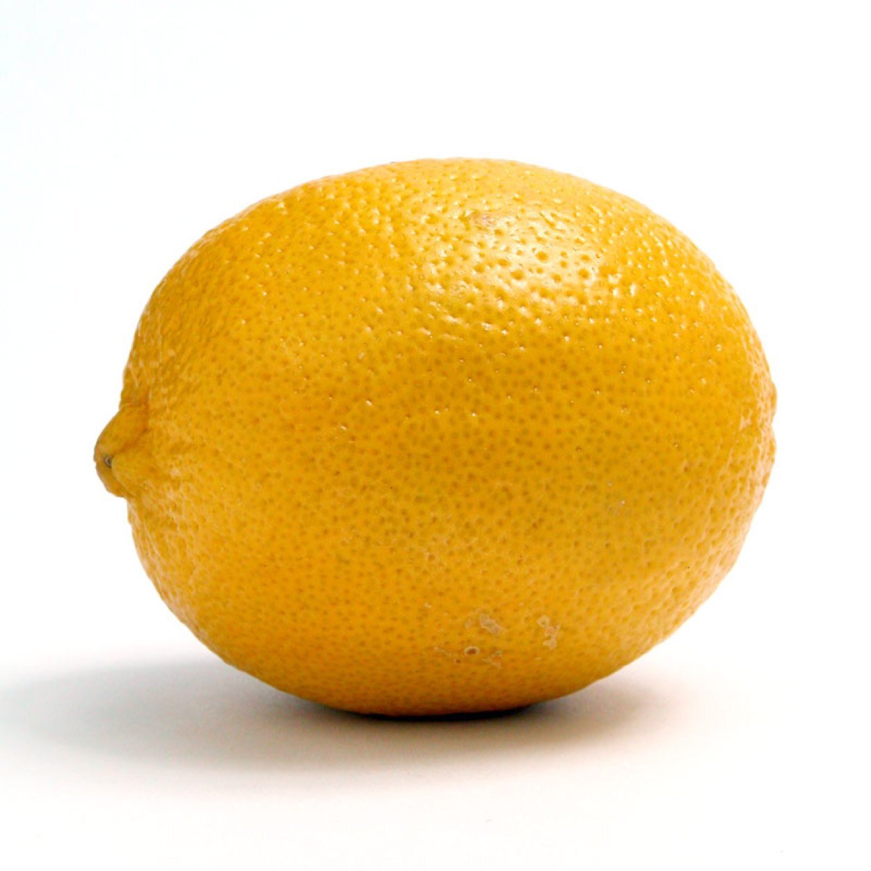citrusfacts's profile picture. 