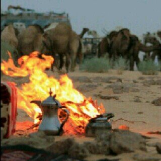 Azooze2021's profile picture. ‏انا ابو حمود خِـوٌيکْ لَآ جّـفُـوٌکْ آلَمًخِـآلَيق حًتٌـﮯ آلَجّـرآيمً لَوٌ تٌـبًي نِرتٌـکْبًهّـآ ُ ابوحمود