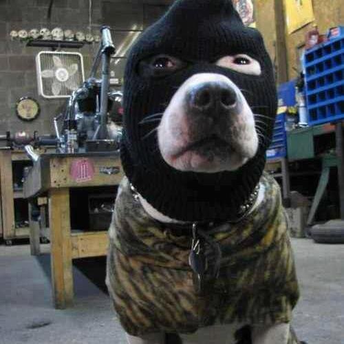 AweRajul's profile picture. Señor mamerto: bañarse no es hacerle ninguna concesión burguesa al imperio... ¬¬