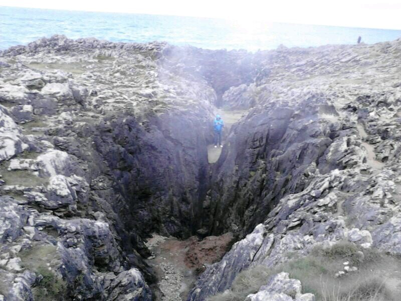 omarsg59's profile picture. 