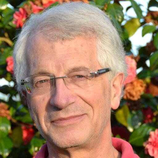 FrancisMenet's profile picture. 