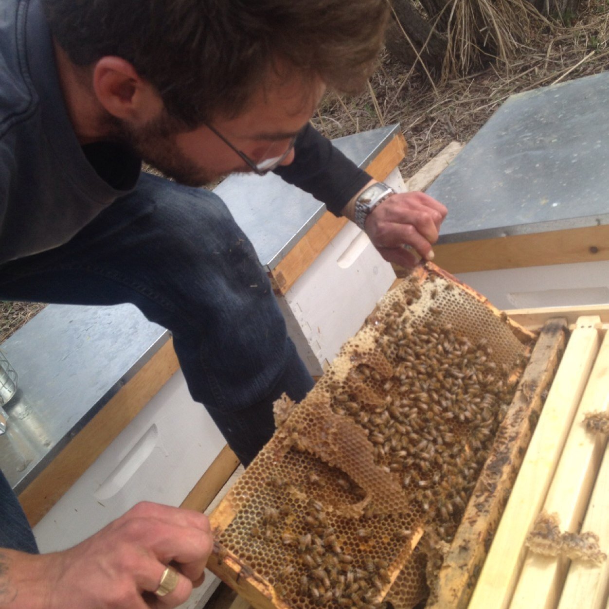 west_gmai's profile picture. 