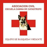 ACECC (@aceccargentina) 's Twitter Profile