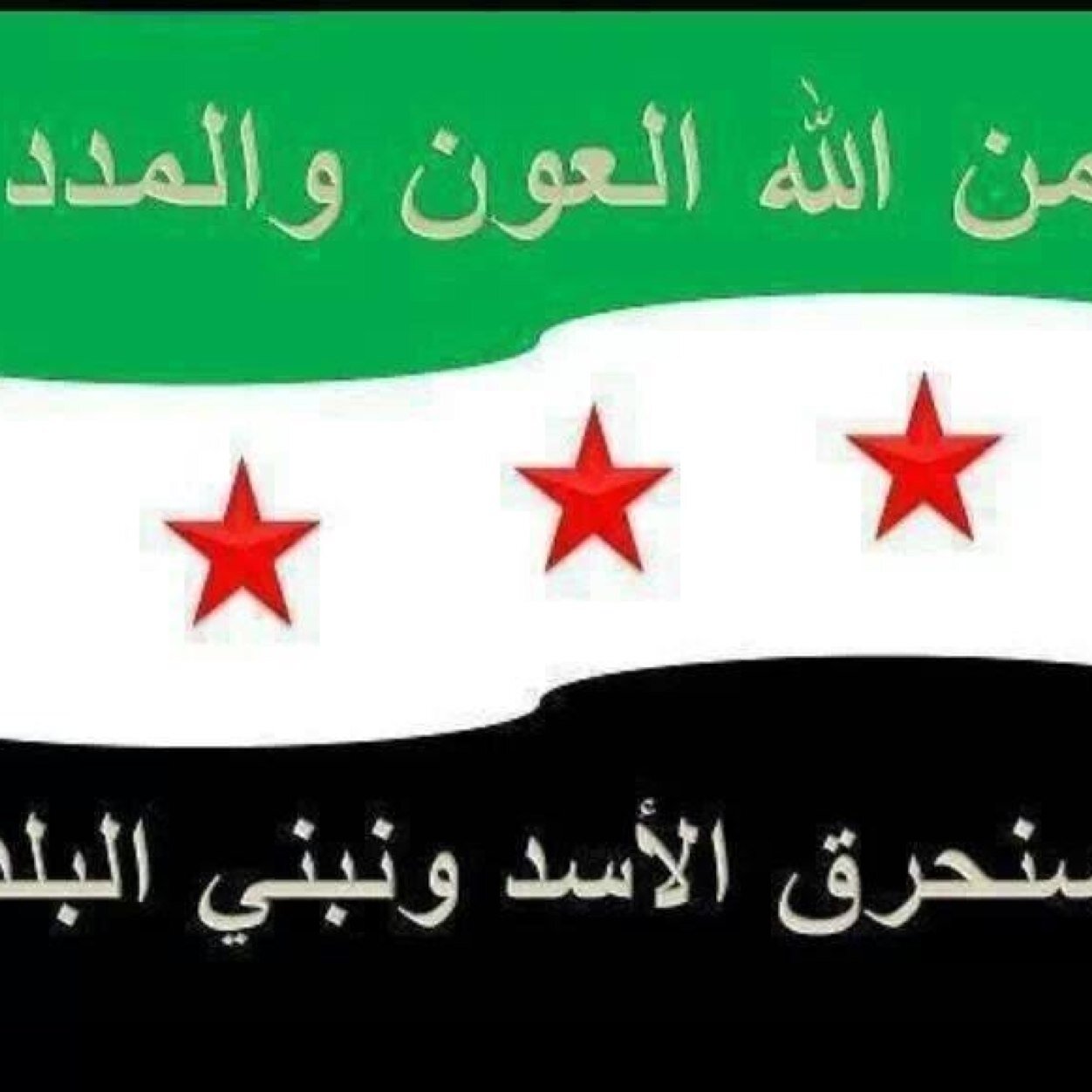 utiurigfthy's profile picture. 