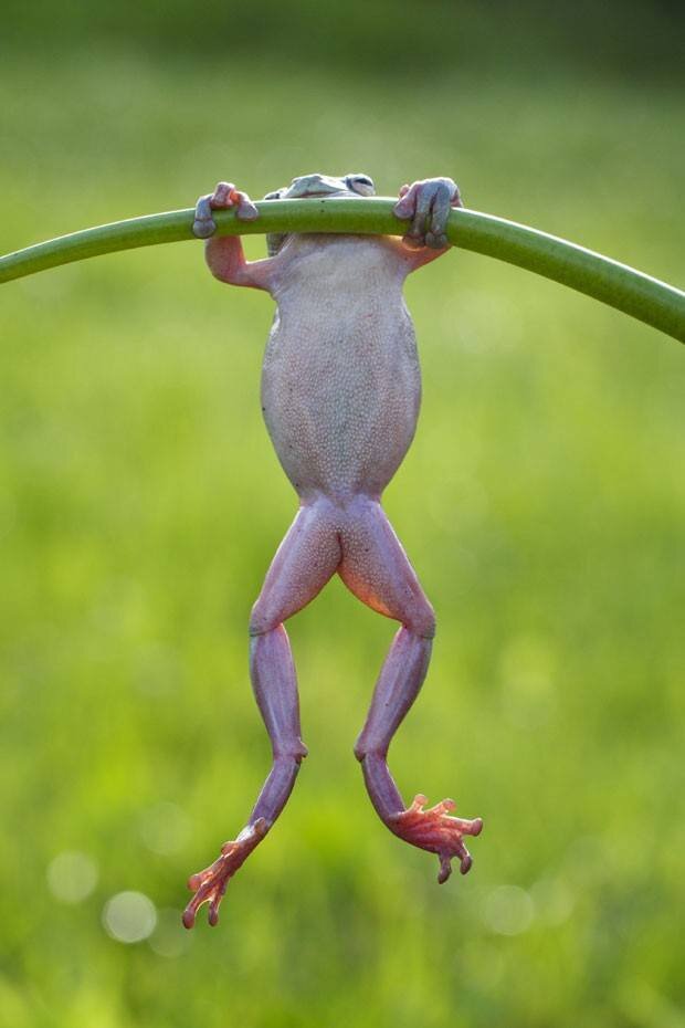 AdemirVital1's profile picture. 