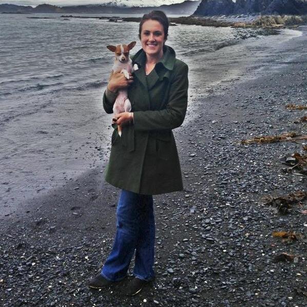 ArcticSolutions's profile picture. 