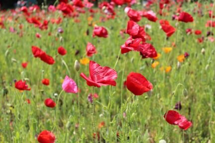 thinkthink000's profile picture. 恋愛について