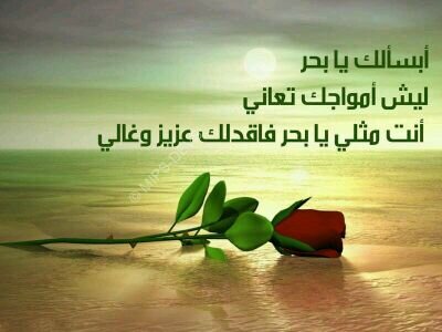 loveamjad7's profile picture. 