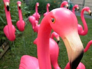 I'm a flamingo raising money for Haiti! You may wake up to me in your yard, don't be alarmed! Read the ransom note and follow the directions! :)